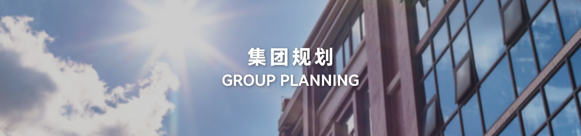 集团规划